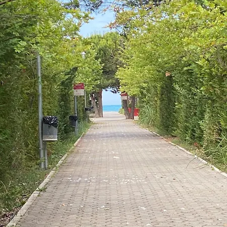 Adagio Gjiri I Lalezit