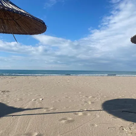 Adagio Gjiri I Lalezit *